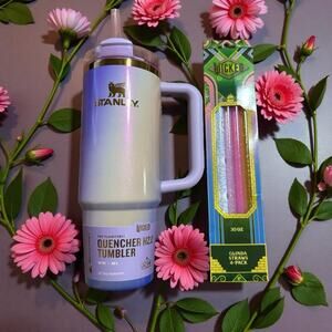 Stanley Glinda Wicked for Good Quencher 30oz Tumbler Bundle